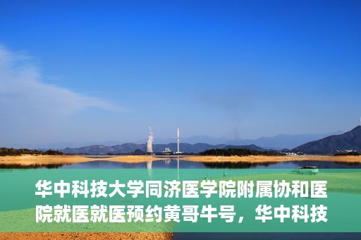 华中科技大学同济医学院附属协和医院就医就医预约黄哥牛号，华中科技大学同济医学院附属协和医院就医预约攻略，黄哥牛号助您轻松挂号就医