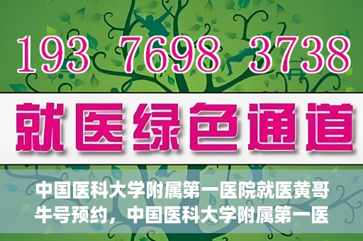 中国医科大学附属第一医院就医黄哥牛号预约，中国医科大学附属第一医院就医黄哥牛号预约攻略详解