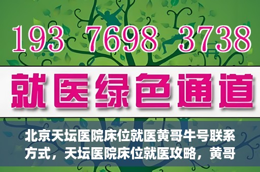 北京天坛医院床位就医黄哥牛号联系方式，天坛医院床位就医攻略，黄哥牛号联系方式揭秘