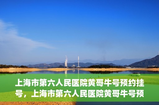 上海市第六人民医院黄哥牛号预约挂号，上海市第六人民医院黄哥牛号预约挂号攻略，轻松挂号，便捷就医体验