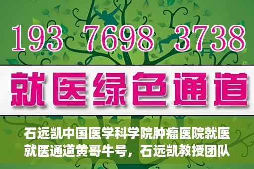 石远凯中国医学科学院肿瘤医院就医就医通道黄哥牛号，石远凯教授团队就医通道，中国医学科学院肿瘤医院就医指南及黄哥牛号解析