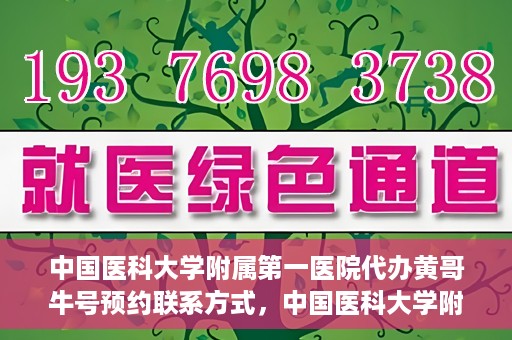 中国医科大学附属第一医院代办黄哥牛号预约联系方式，中国医科大学附属第一医院预约挂号联系方式，黄哥牛号预约服务解析