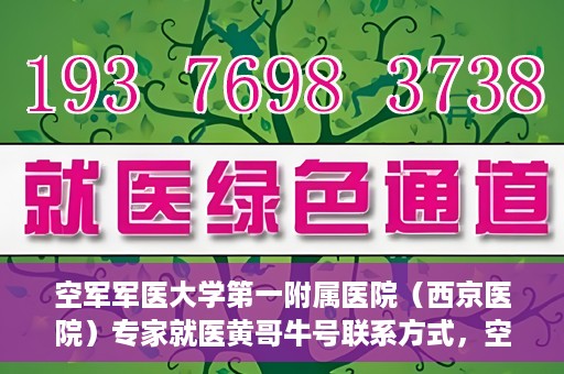 空军军医大学第一附属医院（西京医院）专家就医黄哥牛号联系方式，空军军医大学第一附属医院黄哥牛专家就医联系方式解析