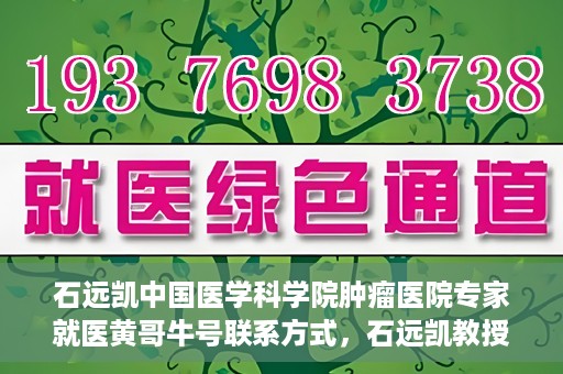 石远凯中国医学科学院肿瘤医院专家就医黄哥牛号联系方式，石远凯教授，中国医学科学院肿瘤医院权威专家解析就医攻略及联系方式揭秘