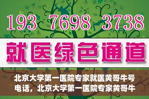 北京大学第一医院专家就医黄哥牛号电话，北京大学第一医院专家黄哥牛号电话就医指南