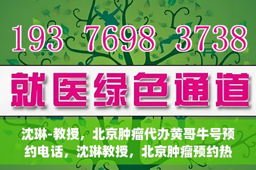 沈琳-教授，北京肿瘤代办黄哥牛号预约电话，沈琳教授，北京肿瘤预约热线解读及黄哥牛号预约电话揭秘