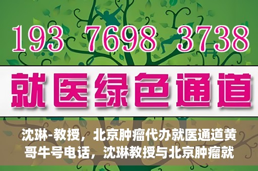 沈琳-教授，北京肿瘤代办就医通道黄哥牛号电话，沈琳教授与北京肿瘤就医通道，黄哥牛号电话背后的故事