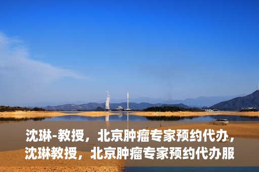 沈琳-教授，北京肿瘤专家预约代办，沈琳教授，北京肿瘤专家预约代办服务解析