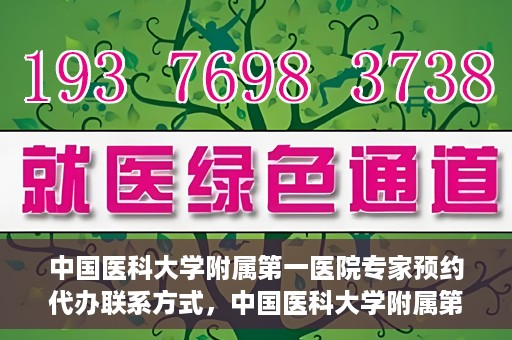 中国医科大学附属第一医院专家预约代办联系方式，中国医科大学附属第一医院专家预约挂号代办服务联系方式解析