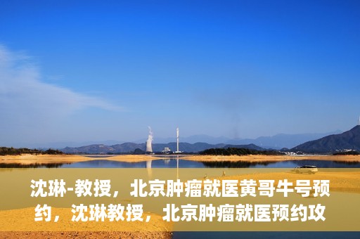 沈琳-教授，北京肿瘤就医黄哥牛号预约，沈琳教授，北京肿瘤就医预约攻略——黄哥牛号解读