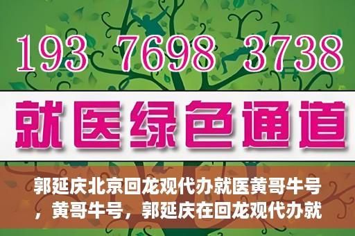 郭延庆北京回龙观代办就医黄哥牛号，黄哥牛号，郭延庆在回龙观代办就医的便捷之路