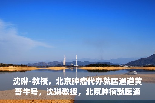 沈琳-教授，北京肿瘤代办就医通道黄哥牛号，沈琳教授，北京肿瘤就医通道背后的黄哥牛号传奇