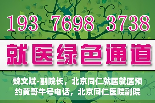魏文斌-副院长，北京同仁就医就医预约黄哥牛号电话，北京同仁医院副院长魏文斌，就医预约背后的故事与黄哥牛号电话揭秘
