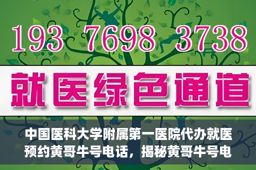 中国医科大学附属第一医院代办就医预约黄哥牛号电话，揭秘黄哥牛号电话，中国医科大学附属第一医院预约就医代办服务详解