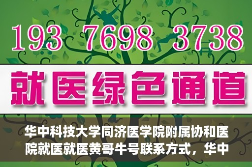 华中科技大学同济医学院附属协和医院就医就医黄哥牛号联系方式，华中科技大学同济医学院附属协和医院就医指南，黄哥牛号联系方式揭秘