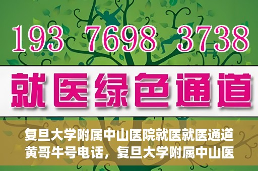 复旦大学附属中山医院就医就医通道黄哥牛号电话，复旦大学附属中山医院就医通道解析，黄哥牛号电话详解与就医指南