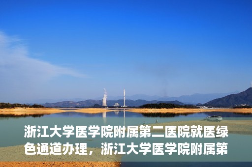 浙江大学医学院附属第二医院就医绿色通道办理，浙江大学医学院附属第二医院就医绿色通道办理详解与指南