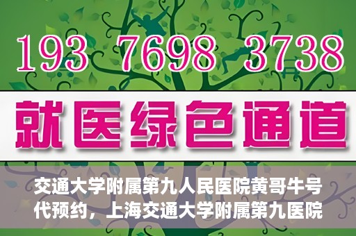 交通大学附属第九人民医院黄哥牛号代预约，上海交通大学附属第九医院黄哥预约挂号服务启动，便捷就医新选择