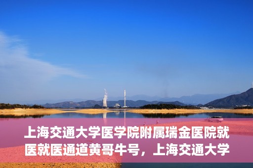 上海交通大学医学院附属瑞金医院就医就医通道黄哥牛号，上海交通大学医学院附属瑞金医院就医通道，黄哥牛号助您便捷就医体验