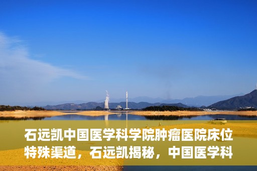 石远凯中国医学科学院肿瘤医院床位特殊渠道，石远凯揭秘，中国医学科学院肿瘤医院床位特殊渠道揭秘