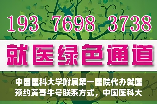 中国医科大学附属第一医院代办就医预约黄哥牛号联系方式，中国医科大学附属第一医院预约就医代办服务，黄哥牛号联系方式及预约指南