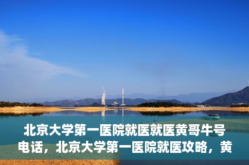 北京大学第一医院就医就医黄哥牛号电话，北京大学第一医院就医攻略，黄哥牛号电话一键预约挂号服务