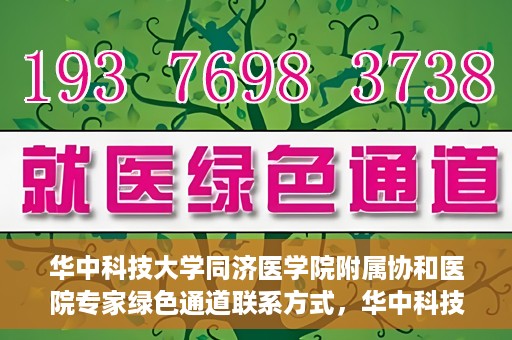 华中科技大学同济医学院附属协和医院专家绿色通道联系方式，华中科技大学同济医学院附属协和医院专家绿色通道联系方式及咨询指南