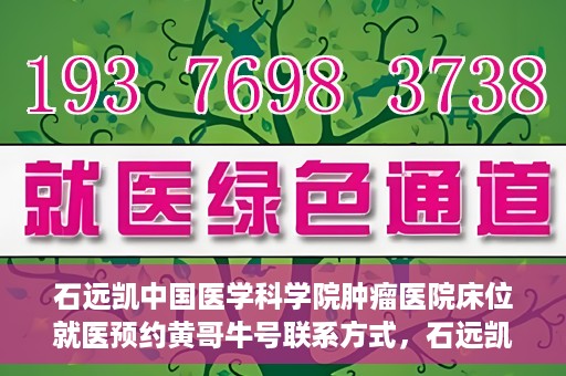 石远凯中国医学科学院肿瘤医院床位就医预约黄哥牛号联系方式，石远凯教授，中国医学科学院肿瘤医院床位预约指南与联系方式揭秘