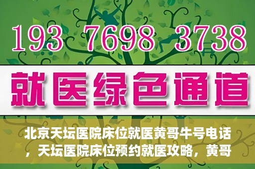 北京天坛医院床位就医黄哥牛号电话，天坛医院床位预约就医攻略，黄哥牛号电话全解析