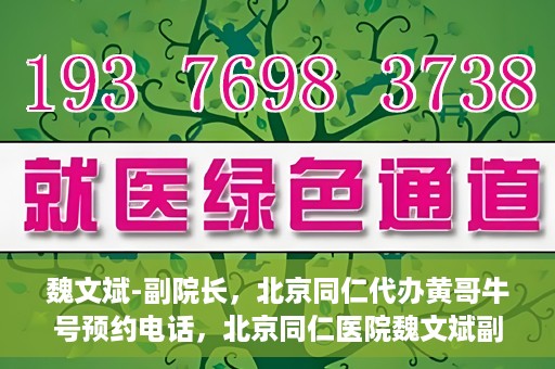 魏文斌-副院长，北京同仁代办黄哥牛号预约电话，北京同仁医院魏文斌副院长，黄哥牛号预约电话解读与代办服务解析
