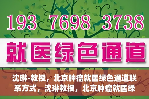 沈琳-教授，北京肿瘤就医绿色通道联系方式，沈琳教授，北京肿瘤就医绿色通道的联系通道及其实用指南