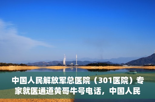 中国人民解放军总医院（301医院）专家就医通道黄哥牛号电话，中国人民解放军总医院（301医院）专家就医通道热线电话揭秘，黄哥牛号助您快速预约专家号