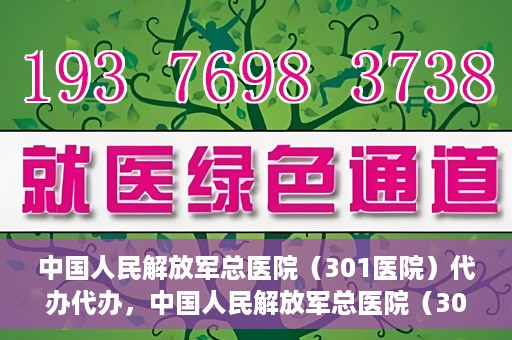 中国人民解放军总医院（301医院）代办代办，中国人民解放军总医院（301医院）代办业务详解，专业代办，高效便捷服务