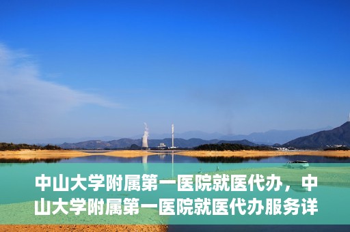 中山大学附属第一医院就医代办，中山大学附属第一医院就医代办服务详解