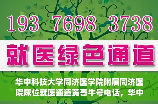 华中科技大学同济医学院附属同济医院床位就医通道黄哥牛号电话，华中科技大学同济医院床位就医通道咨询热线揭秘，黄哥牛号电话一览无余