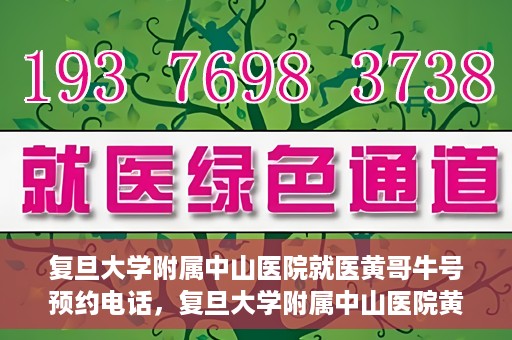 复旦大学附属中山医院就医黄哥牛号预约电话，复旦大学附属中山医院黄哥牛号预约电话详解，就医挂号新攻略