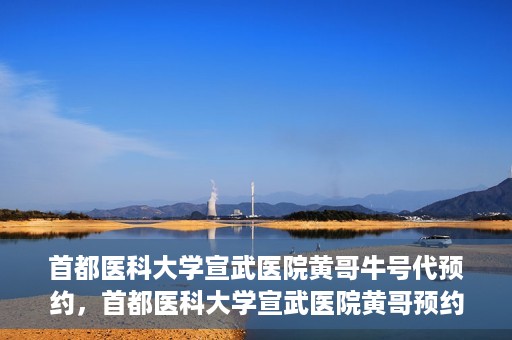 首都医科大学宣武医院黄哥牛号代预约，首都医科大学宣武医院黄哥预约代挂号服务解析