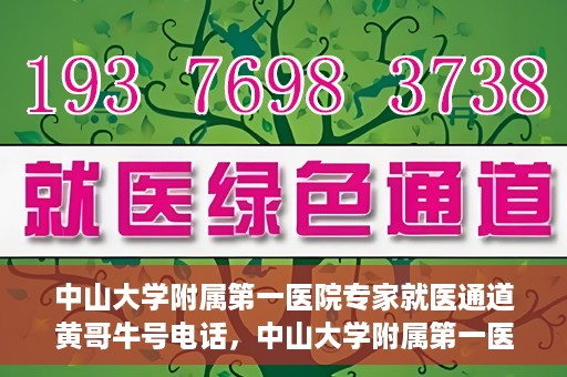 中山大学附属第一医院专家就医通道黄哥牛号电话，中山大学附属第一医院专家就医通道热线，黄哥牛号电话解读与预约攻略