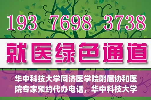 华中科技大学同济医学院附属协和医院专家预约代办电话，华中科技大学同济医学院附属协和医院专家预约代办热线服务解析