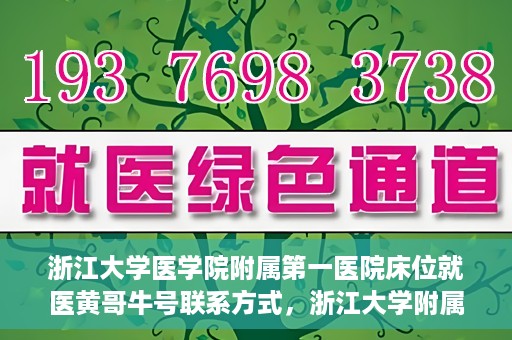浙江大学医学院附属第一医院床位就医黄哥牛号联系方式，浙江大学附属第一医院床位就医指南，黄哥牛号联系方式揭秘