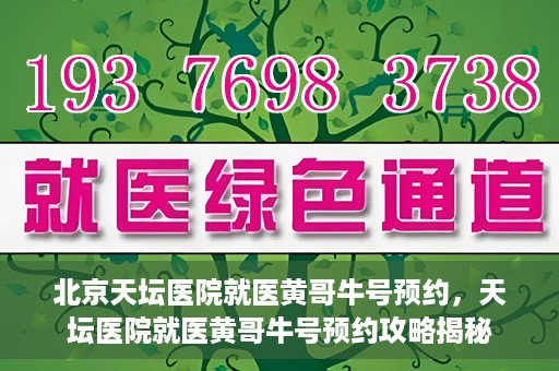 北京天坛医院就医黄哥牛号预约，天坛医院就医黄哥牛号预约攻略揭秘