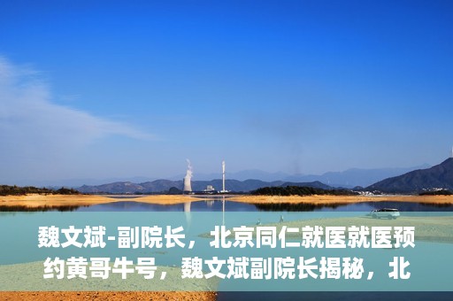 魏文斌-副院长，北京同仁就医就医预约黄哥牛号，魏文斌副院长揭秘，北京同仁医院就医预约的黄哥牛号攻略