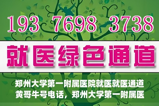郑州大学第一附属医院就医就医通道黄哥牛号电话，郑州大学第一附属医院就医通道解析，黄哥牛号电话全解析