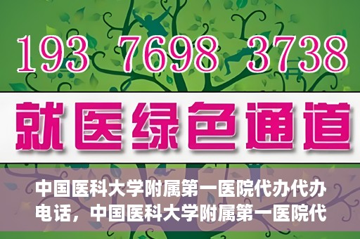 中国医科大学附属第一医院代办代办电话，中国医科大学附属第一医院代办服务热线电话揭秘