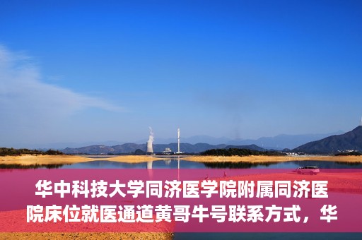 华中科技大学同济医学院附属同济医院床位就医通道黄哥牛号联系方式，华中科技大学同济医院床位就医通道，黄哥牛号联系方式揭秘