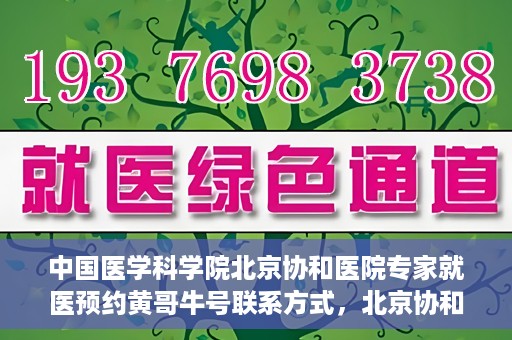 中国医学科学院北京协和医院专家就医预约黄哥牛号联系方式，北京协和医院专家黄哥牛号预约攻略，专家联系方式与就医预约指南
