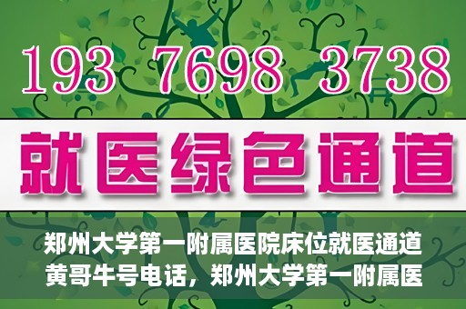 郑州大学第一附属医院床位就医通道黄哥牛号电话，郑州大学第一附属医院床位就医通道，黄哥牛号电话背后的就医故事探索