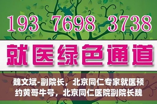 魏文斌-副院长，北京同仁专家就医预约黄哥牛号，北京同仁医院副院长魏文斌，专家预约背后的故事与黄哥牛号揭秘