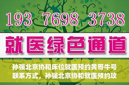 孙强北京协和床位就医预约黄哥牛号联系方式，孙强北京协和就医预约攻略，床位预约、联系方式全解析
