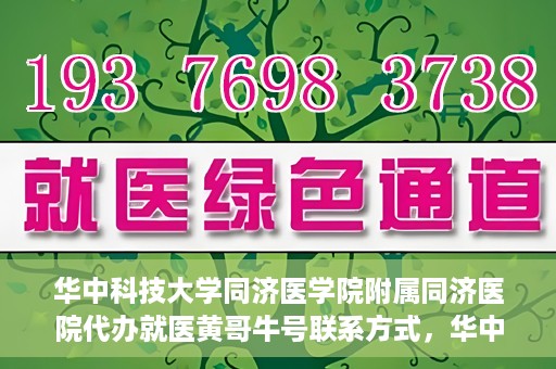 华中科技大学同济医学院附属同济医院代办就医黄哥牛号联系方式，华中科技大学同济医院就医黄哥牛号联系方式及代办服务解析